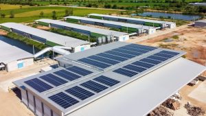 commercial solar panels rebate victoria